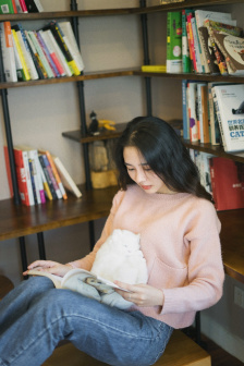 征服在线